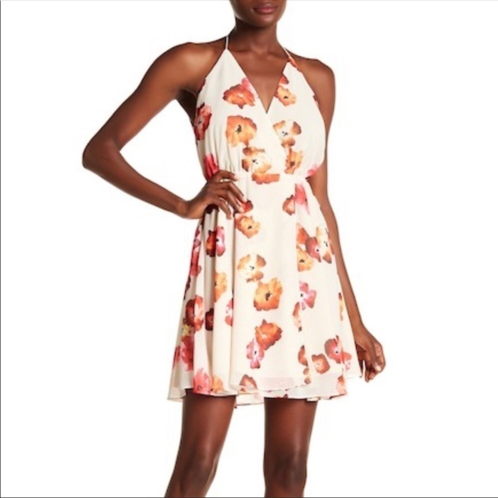Haute Hippie the Harmony Wrap Dress Small